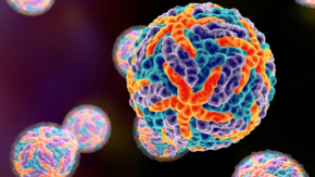 Gesundheit Dengue Virus in 3D